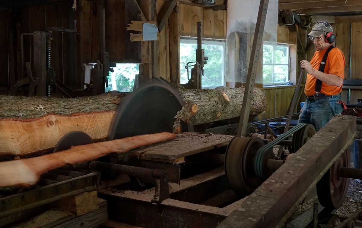 From logs to lumber (in pictures)